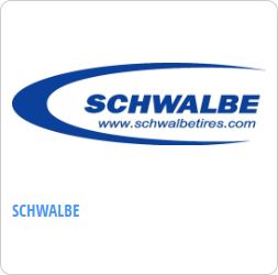 Schwalbe